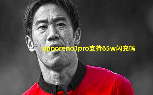 opporeno3pro支持65w闪充吗