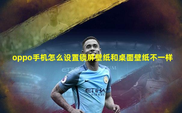 oppo手机怎么设置锁屏壁纸和桌面壁纸不一样