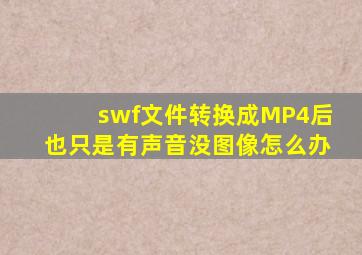 swf文件转换成MP4后也只是有声音没图像怎么办