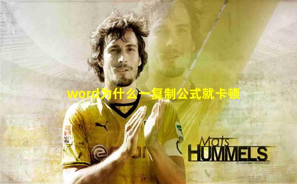 word为什么一复制公式就卡顿