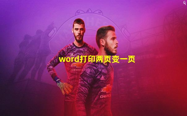 word打印两页变一页