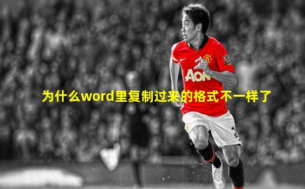 为什么word里复制过来的格式不一样了