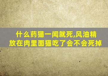 什么药猫一闻就死,风油精放在肉里面猫吃了会不会死掉