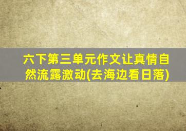 六下第三单元作文让真情自然流露激动(去海边看日落)