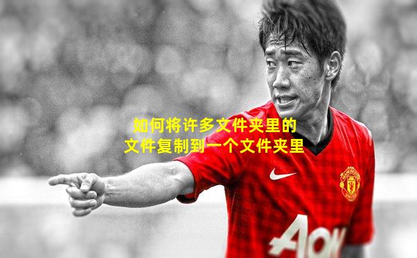 如何将许多文件夹里的文件复制到一个文件夹里