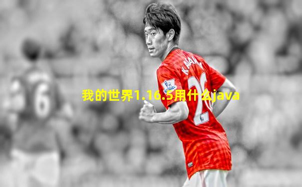我的世界1.16.5用什么java