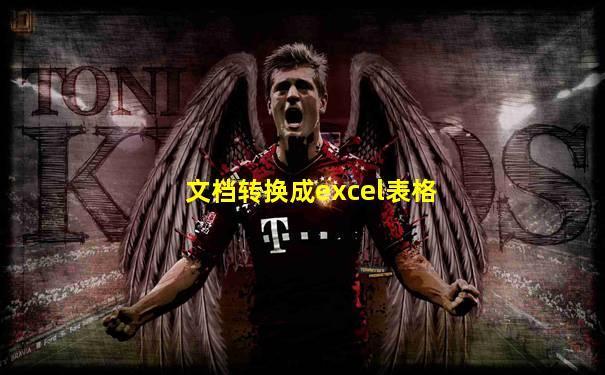 文档转换成excel表格