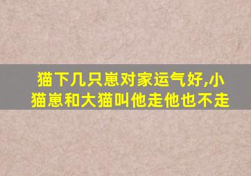 猫下几只崽对家运气好,小猫崽和大猫叫他走他也不走