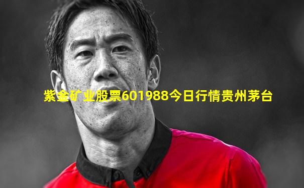 紫金矿业股票601988今日行情贵州茅台