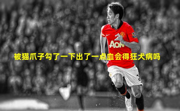 被猫爪子勾了一下出了一点血会得狂犬病吗