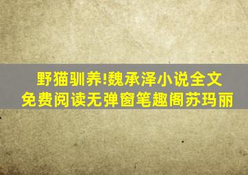 野猫驯养!魏承泽小说全文免费阅读无弹窗笔趣阁苏玛丽