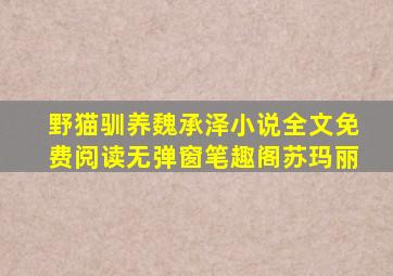 野猫驯养魏承泽小说全文免费阅读无弹窗笔趣阁苏玛丽