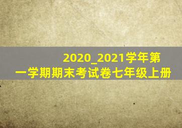 2020_2021学年第一学期期末考试卷七年级上册