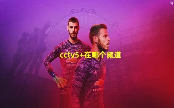 cctv5+在哪个频道