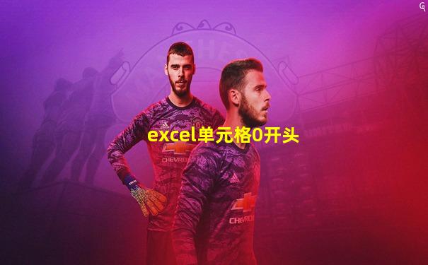 excel单元格0开头