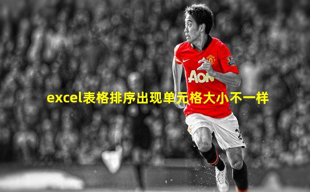 excel表格排序出现单元格大小不一样