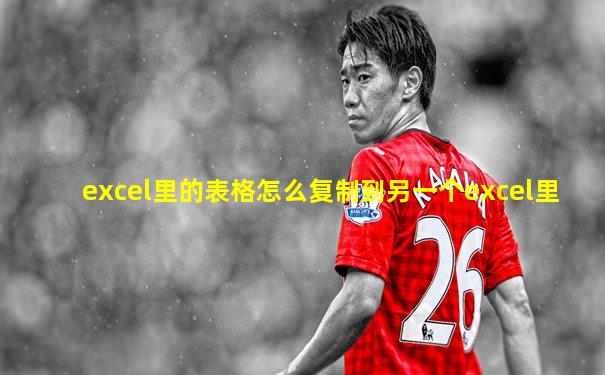 excel里的表格怎么复制到另一个excel里
