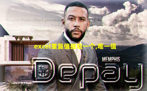 excel重复值提取一个,唯一值