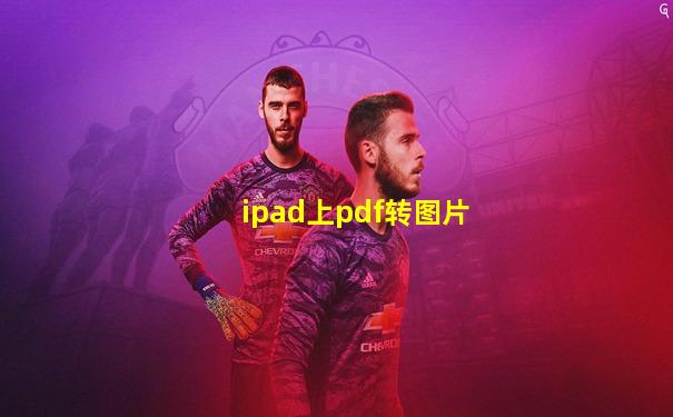 ipad上pdf转图片