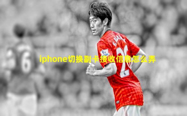 iphone切换副卡接收信息怎么弄