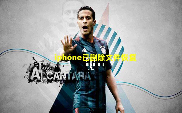iphone已删除文件恢复