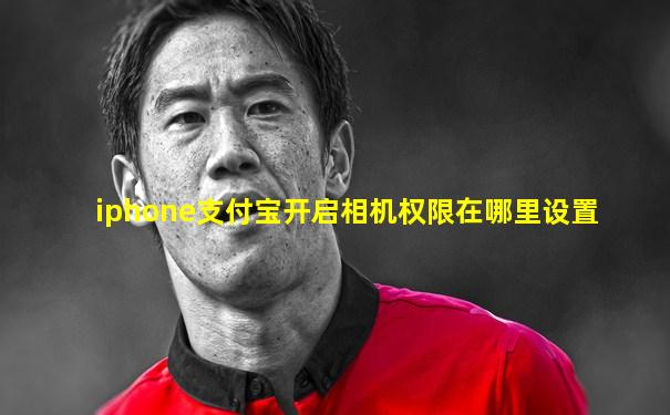iphone支付宝开启相机权限在哪里设置