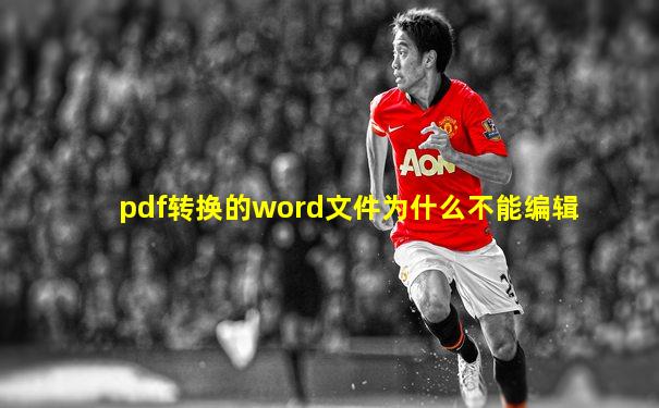 pdf转换的word文件为什么不能编辑