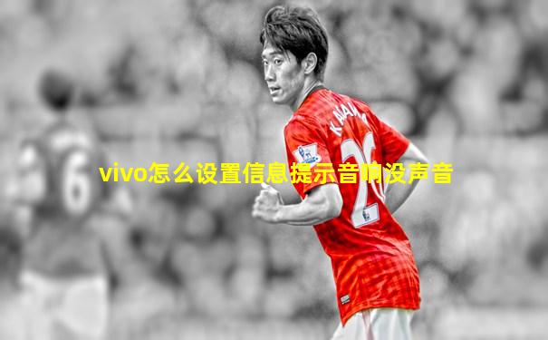 vivo怎么设置信息提示音响没声音