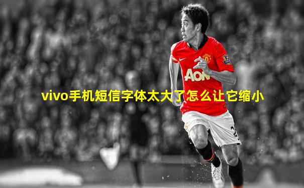 vivo手机短信字体太大了怎么让它缩小