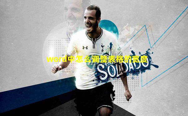 word中怎么调整表格的宽度