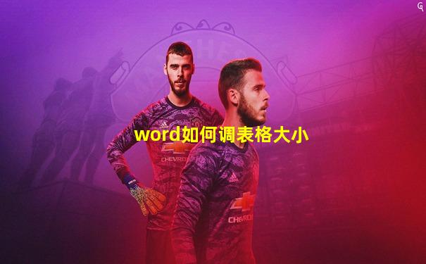 word如何调表格大小