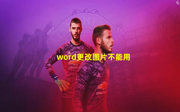 word更改图片不能用