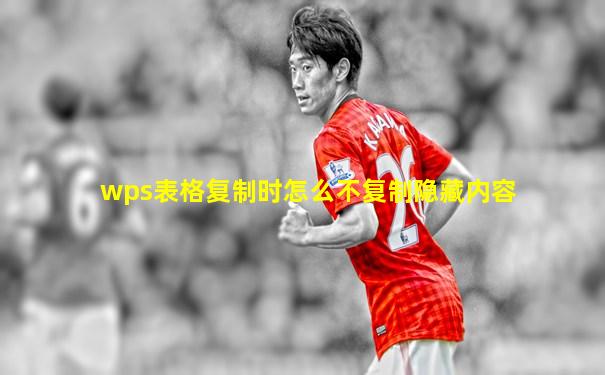 wps表格复制时怎么不复制隐藏内容