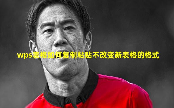 wps表格如何复制粘贴不改变新表格的格式