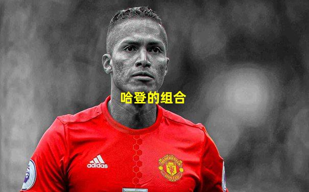 哈登的组合