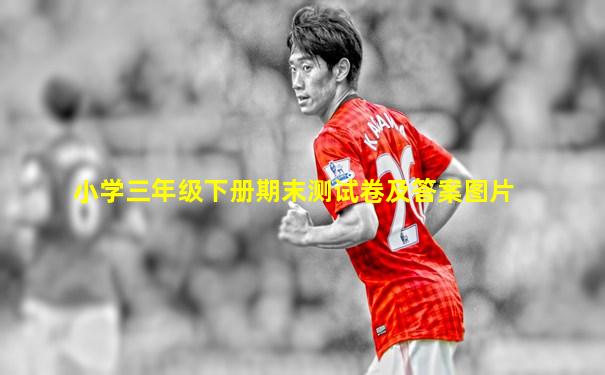 小学三年级下册期末测试卷及答案图片