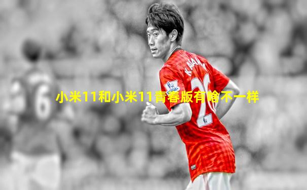 小米11和小米11青春版有啥不一样