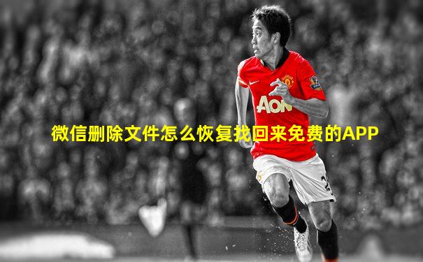 微信删除文件怎么恢复找回来免费的APP