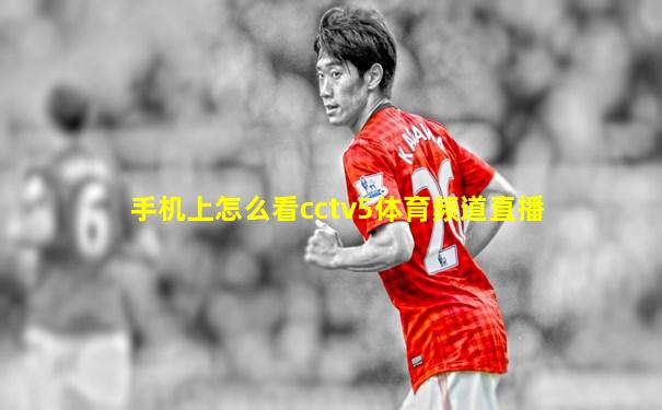 手机上怎么看cctv5体育频道直播