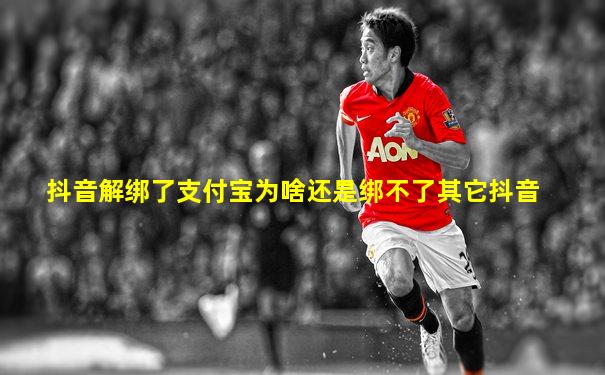 抖音解绑了支付宝为啥还是绑不了其它抖音