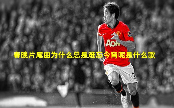 春晚片尾曲为什么总是难忘今宵呢是什么歌