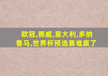 欧冠,挪威,意大利,多纳鲁马,世界杯预选赛谁赢了