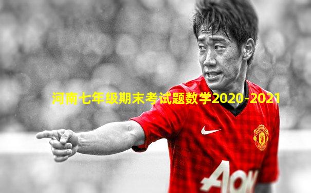 河南七年级期末考试题数学2020-2021