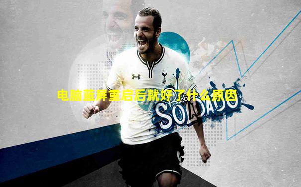 电脑蓝屏重启后就好了什么原因