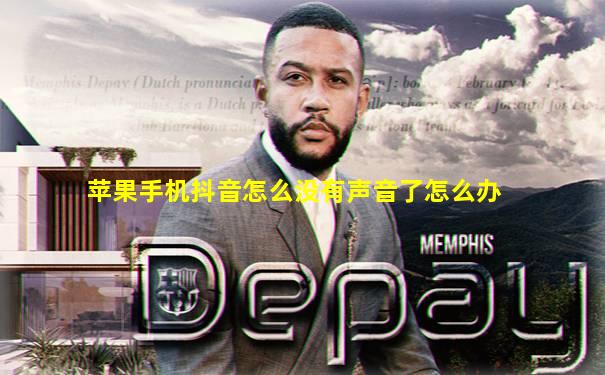 苹果手机抖音怎么没有声音了怎么办