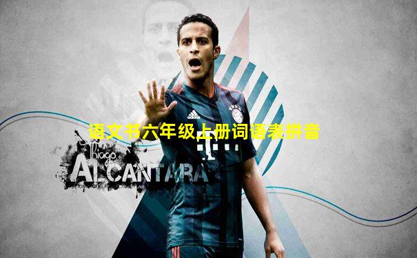 语文书六年级上册词语表拼音
