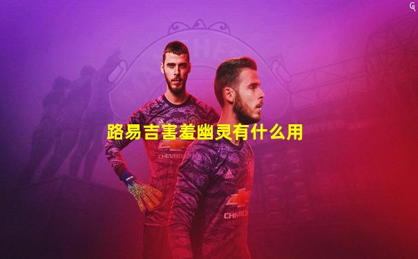 路易吉害羞幽灵有什么用